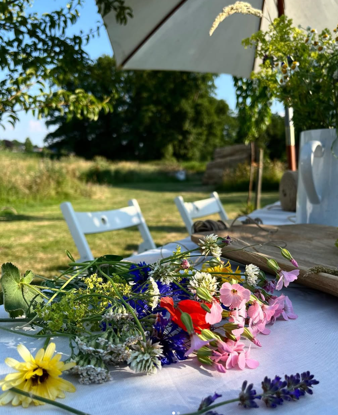 Screenshot 2025 02 15 215951