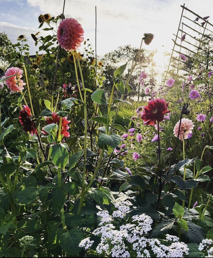 Wind aus Westen screenshot