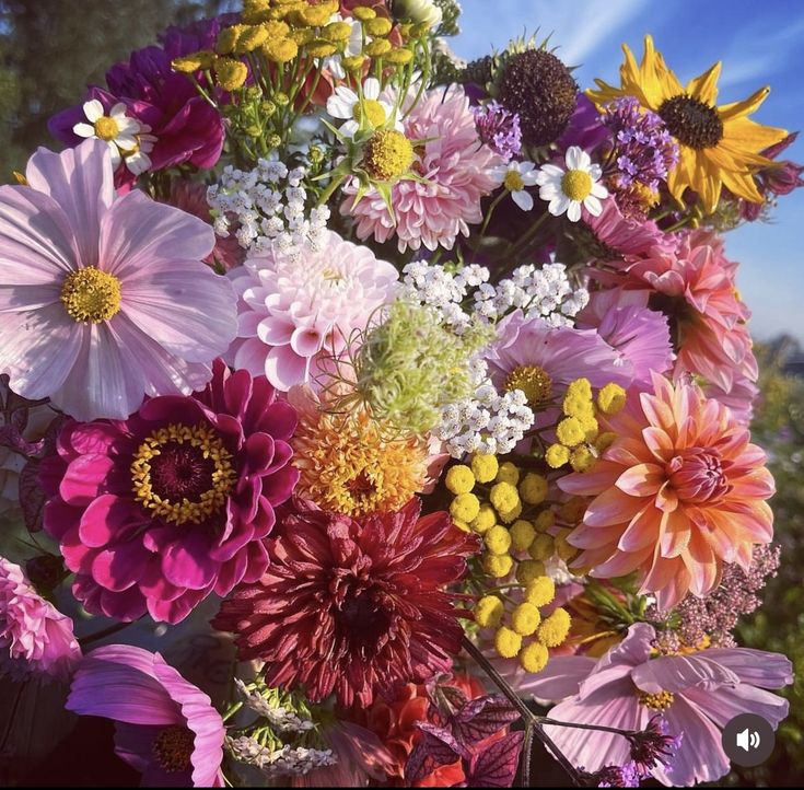 Wind aus Westen screenshot