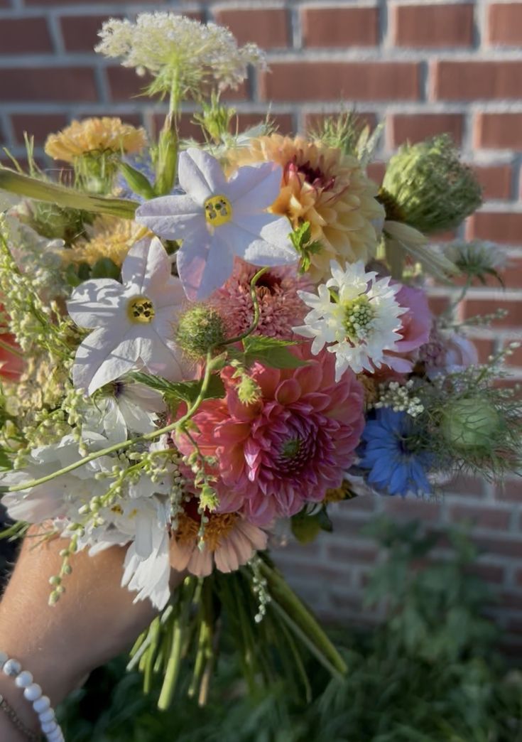 Wind aus Westen screenshot