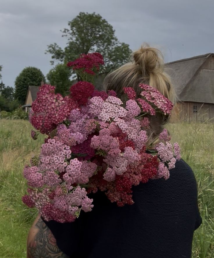 Wind aus Westen screenshot