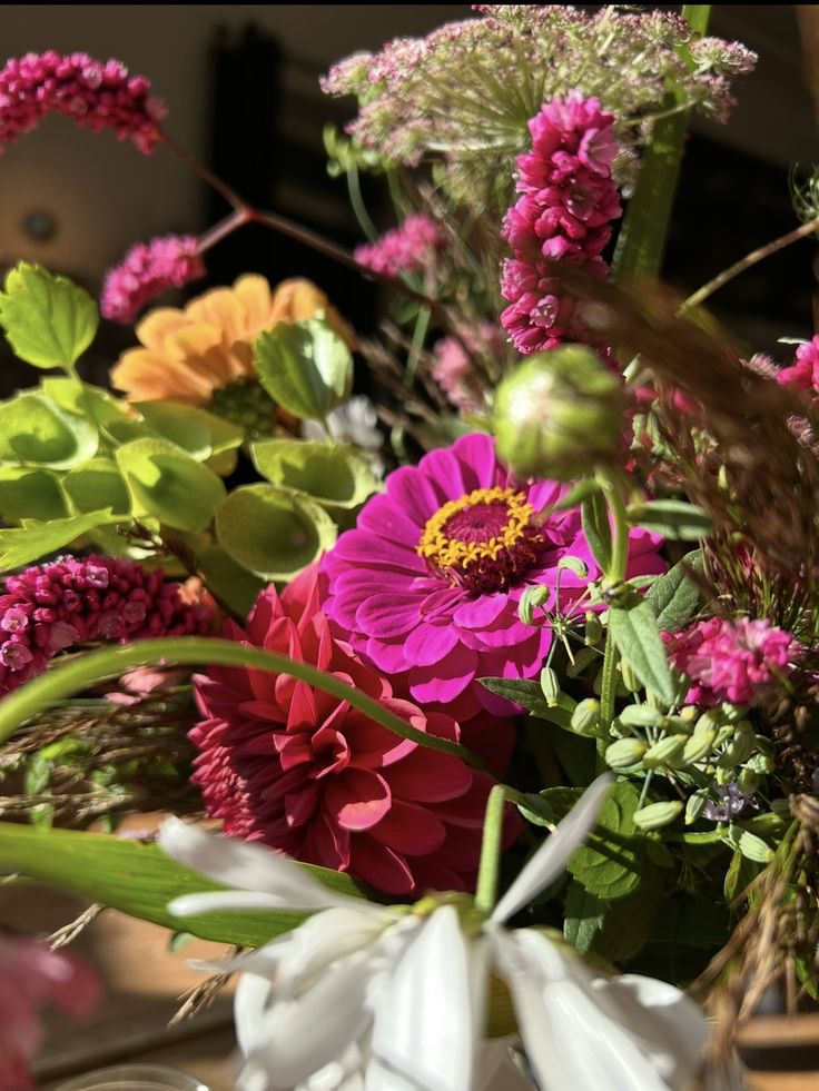 Wind aus Westen screenshot