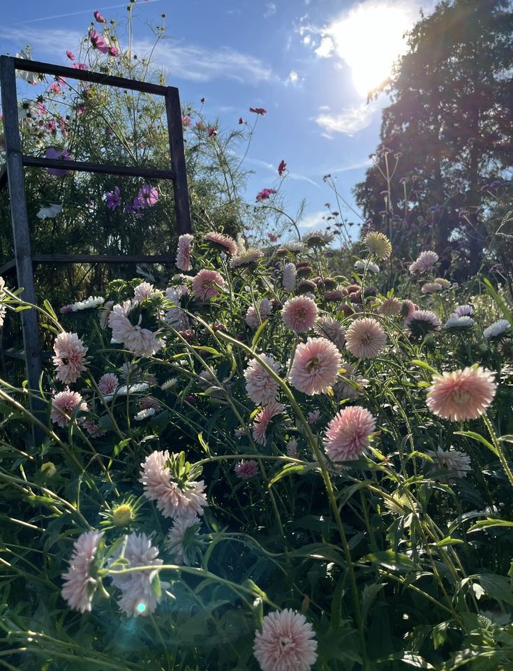 Wind aus Westen screenshot